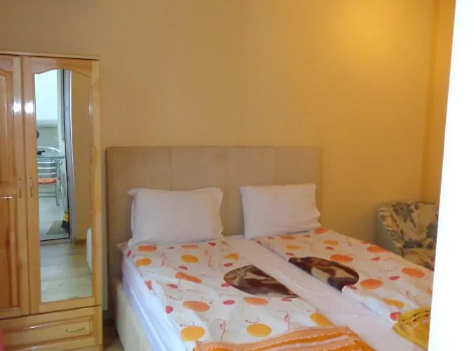 Moni 2 * Wielkie Tyrnowo